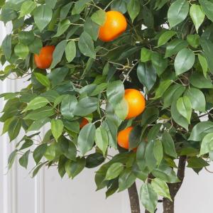 Аксессуары & предметы интерьера