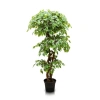 Фикус искусственный 140