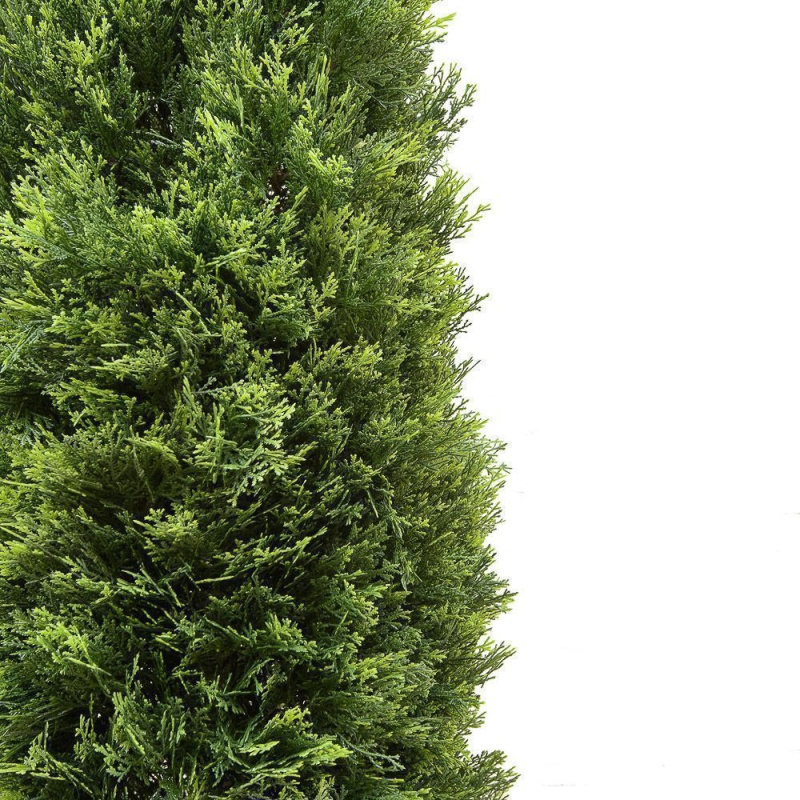 Туя искусственная 160